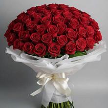 101 Красная роза Блэк Мэджик в Иглино Букет 101 Красная роза Блэк Мэджик в Иглино