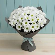 Букет белые хризантемы #REPLACE_PRED# Иглино Букет цветов из:  Хризантемы #REPLACE_PRED# Иглино