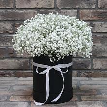 Композиция коробка гипсофил в Иглино Цветочная композиция из Гипсофила в шляпной коробке в Иглино